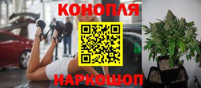 прущие грибы Мариинск