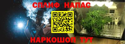 Альфа ПВП Малгобек