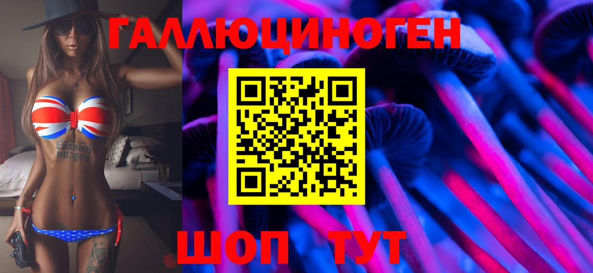 Энгельс  Галлюциногенные грибы Cubensis  Галлюциногенные грибы Psilocybe  Вход с VPN 